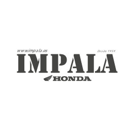 Logotip a una tinta de IMPALA.